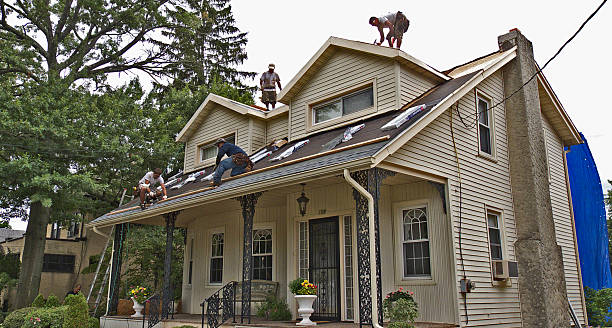 Best Gutter Installation and Roofing  in Sunnyslope, WA