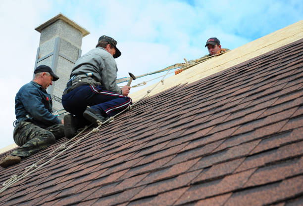 Best Roof Gutter Cleaning  in Sunnyslope, WA